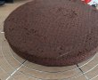 Tort cu mure, cirese si ciocolata-2